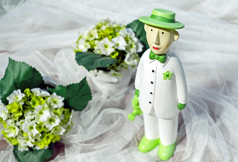 boutique-LA ROQUE ESCLAPON-min_man-person-flower-green-toy-fig-546529-pxhere.com